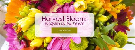 La Habra Florist: Flowers & Flower Delivery by Louis Gardens。